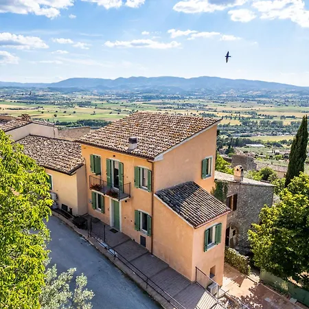 Terra D'olivo *
