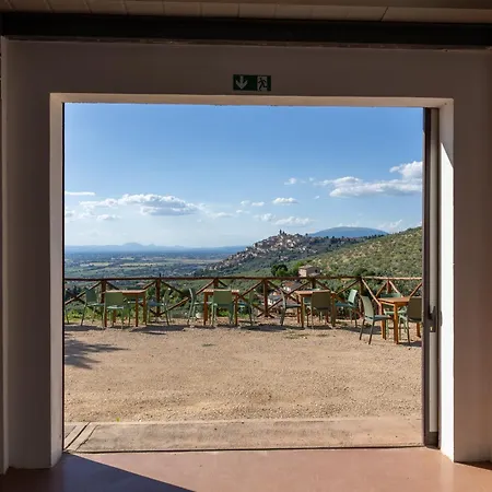 Terra D'olivo *